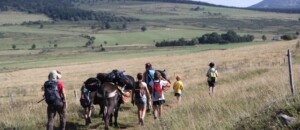 Hiking with a donkey