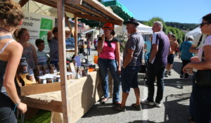 Foire agricole - marché de producteurs - vide grenier -bal