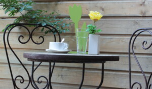 Terrasse d'un studio du natural Spa de Neyrac