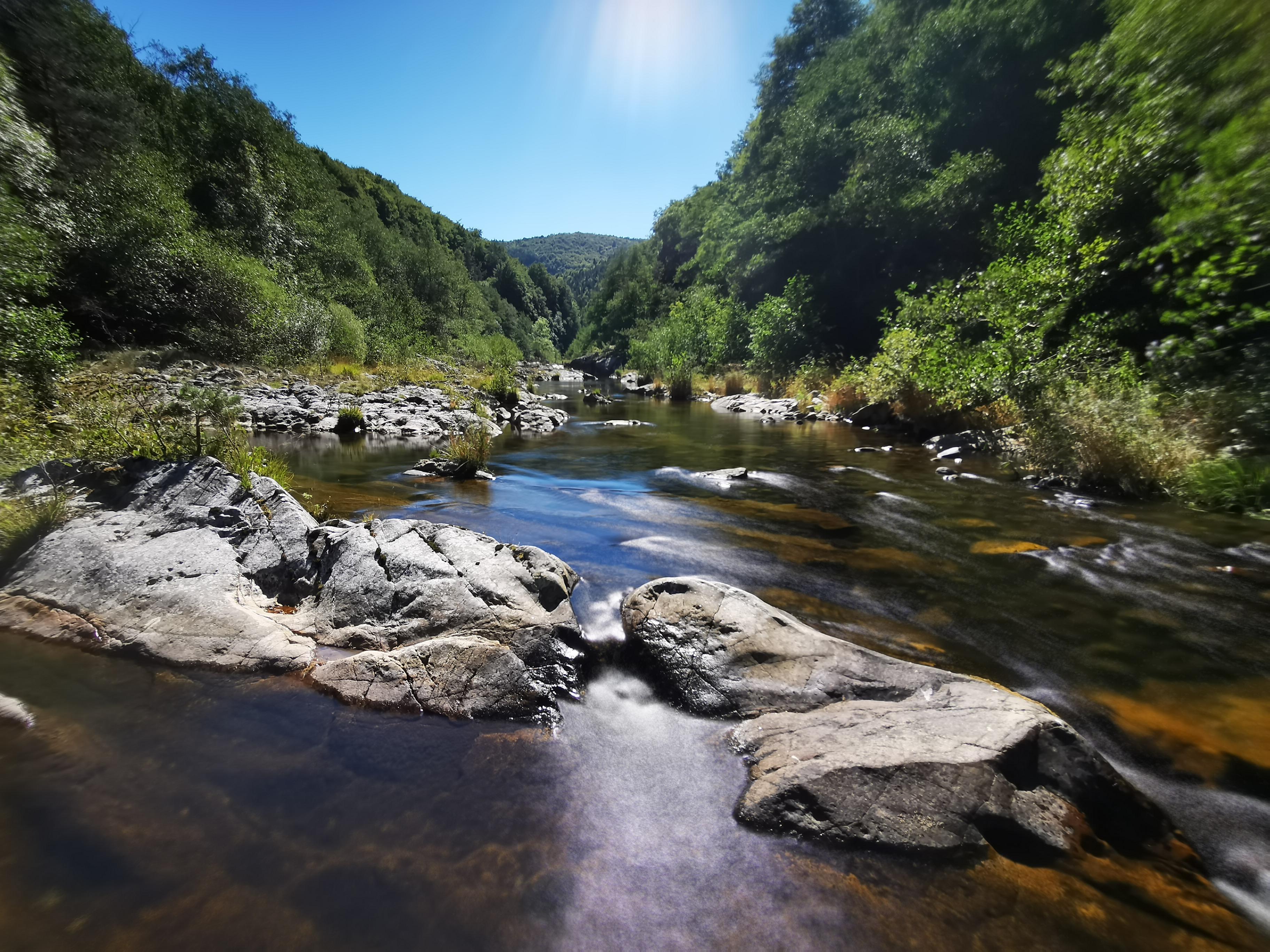 Le croisement des sources de la Loire
