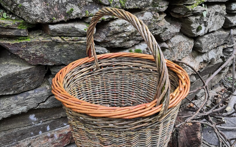 Stage de Vannerie d'osier : Panier Rond