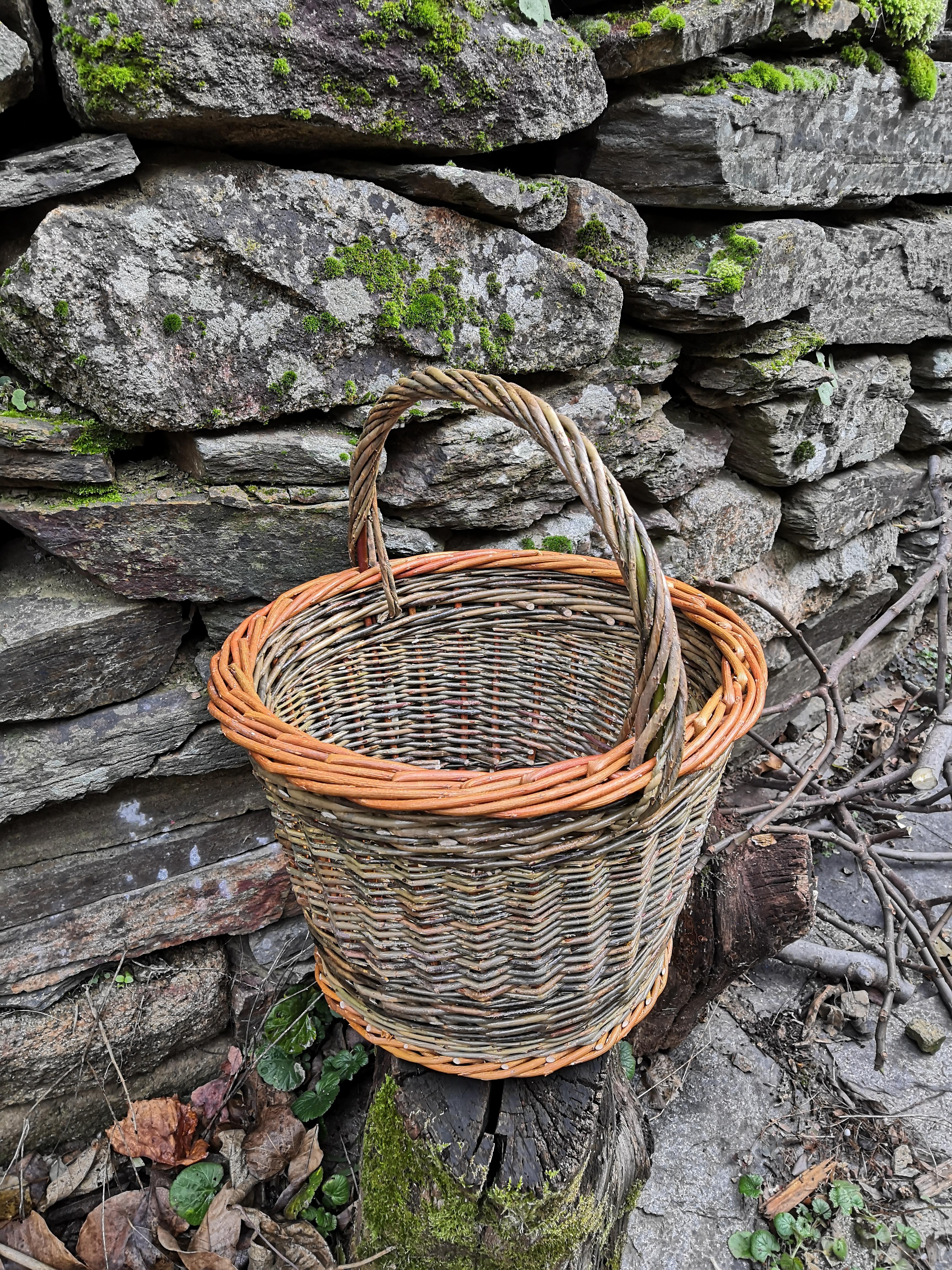Stage de Vannerie d'osier : Panier Rond