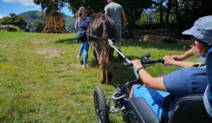 Quadrix tracté par un âne