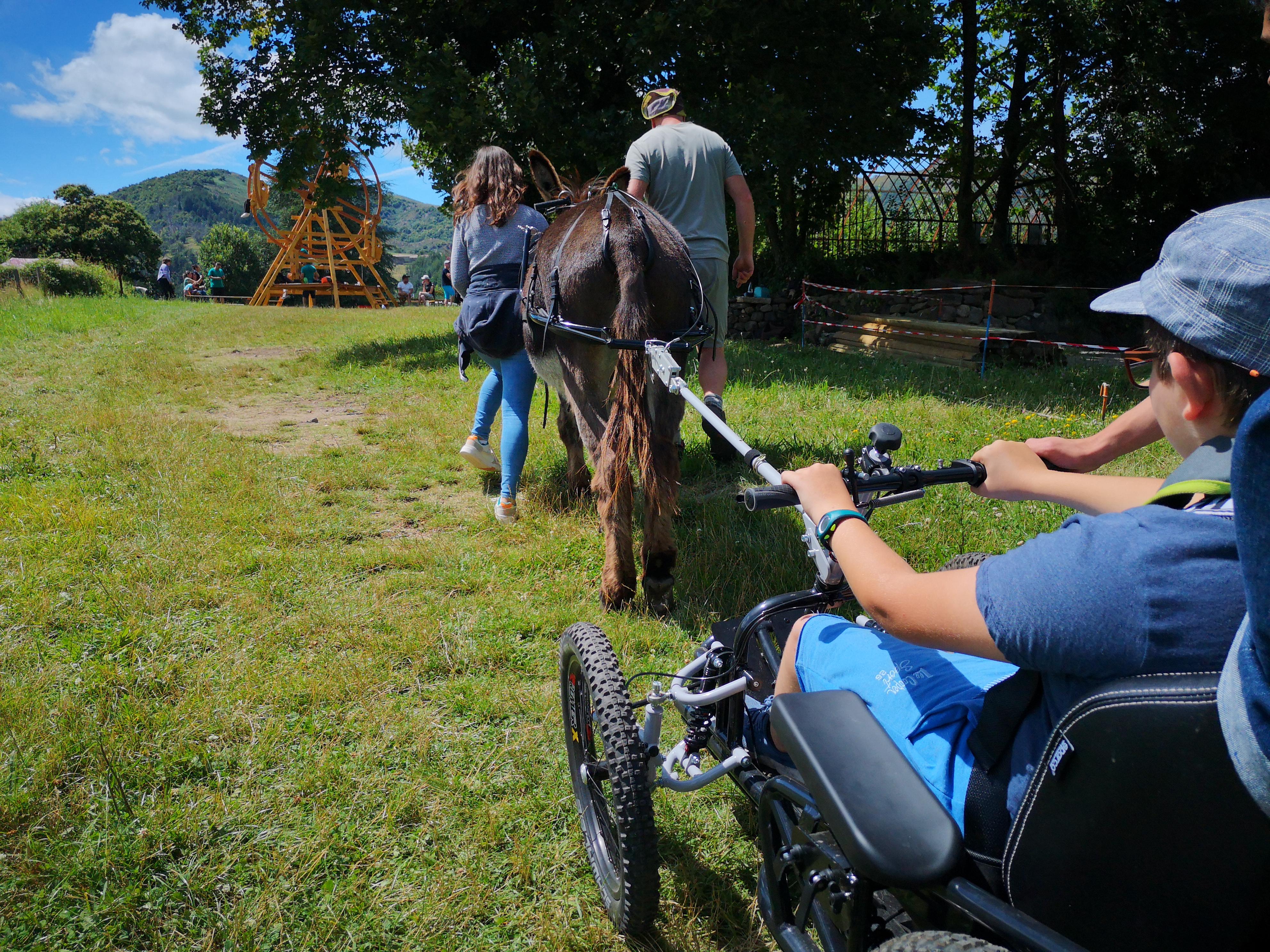 Quadrix tracté par un âne