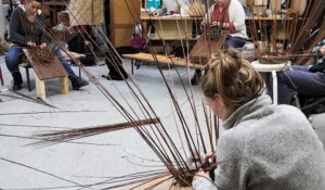 Stage de Vannerie d'osier : Panier Rond