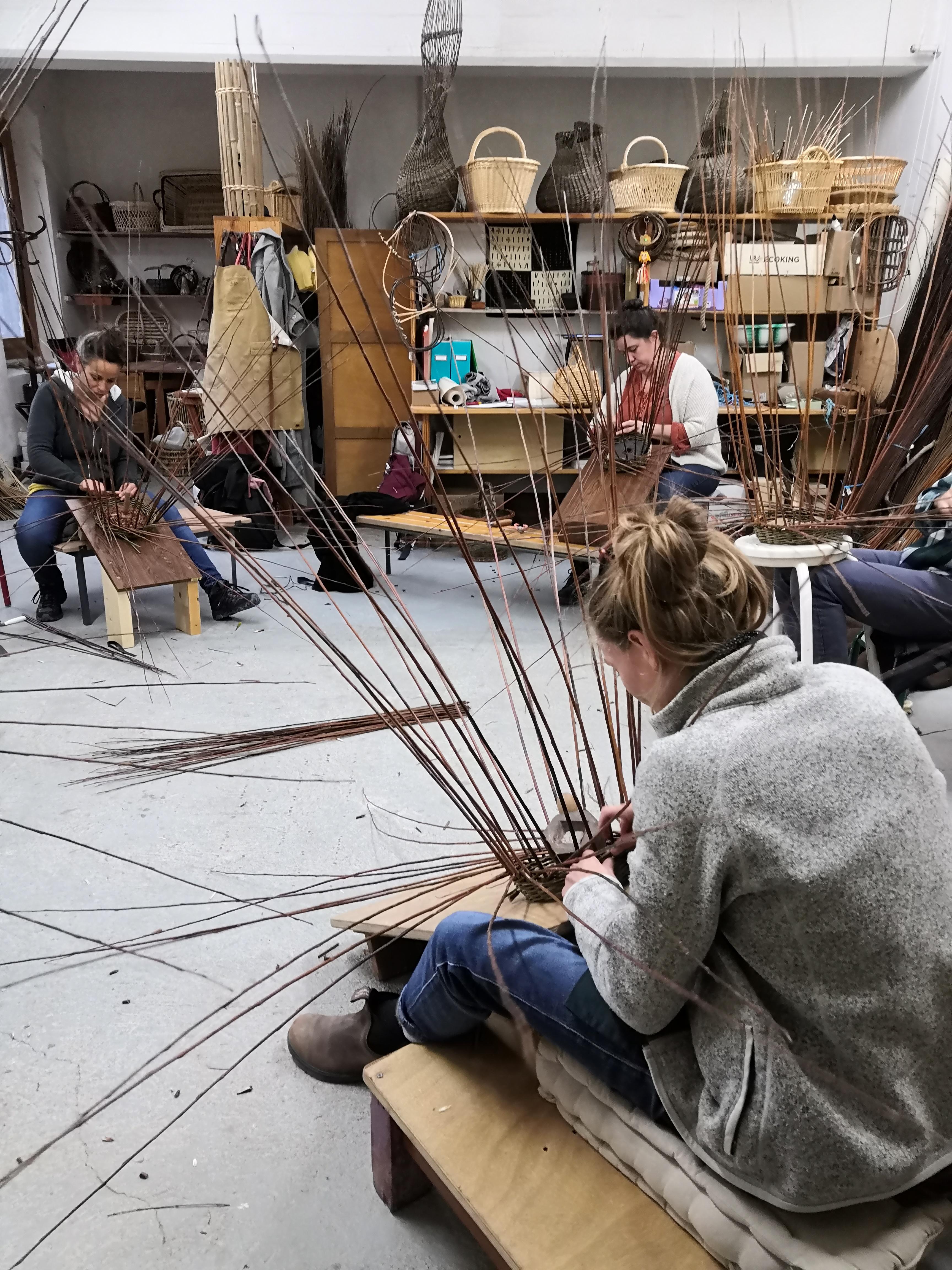 Stage de Vannerie d'osier : Panier Rond