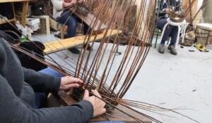 Stage de Vannerie d'osier : Panier Rond