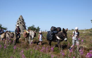 Randonnée avec les ânes sur les monts d'Ardèche - ©@O. Mathis