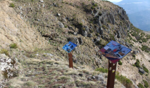 Les coulées basaltiques