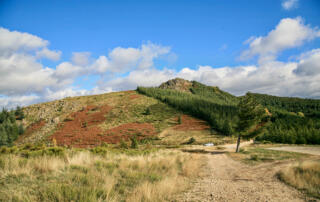 Col de la Croix de Millet_Prunet - ©Vincent Delfosse
