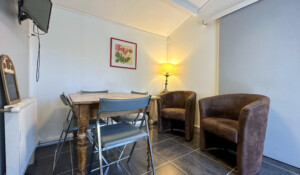 Salon avec deux fauteuils et tv