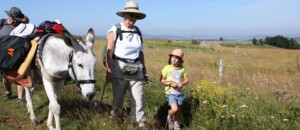 Hiking with a donkey