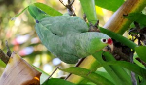 Chris Kale Fotograf_Prades