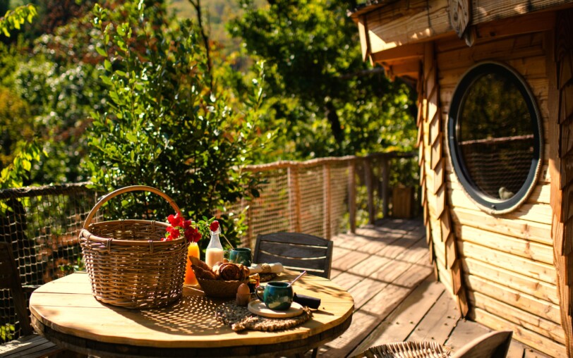 Le Mas dardet_LA CABANE