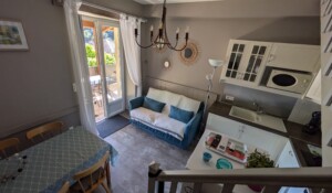 Iris (gîtes de Neyrac-les-Bains)_Meyras