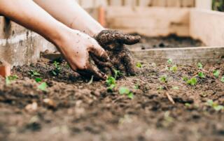 Jardinage - ©sandie-clarke-unsplash