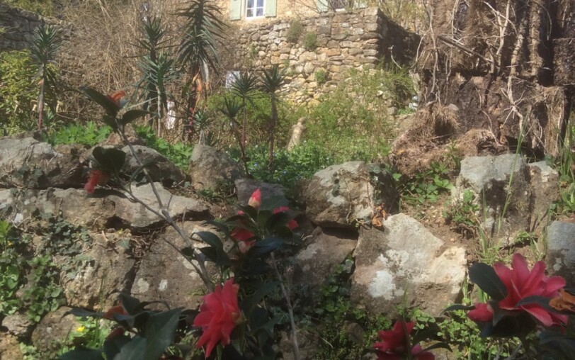 Jardin du Pin Sud