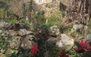 Jardin du Pin Sud - ©AssociationColetteBonzo