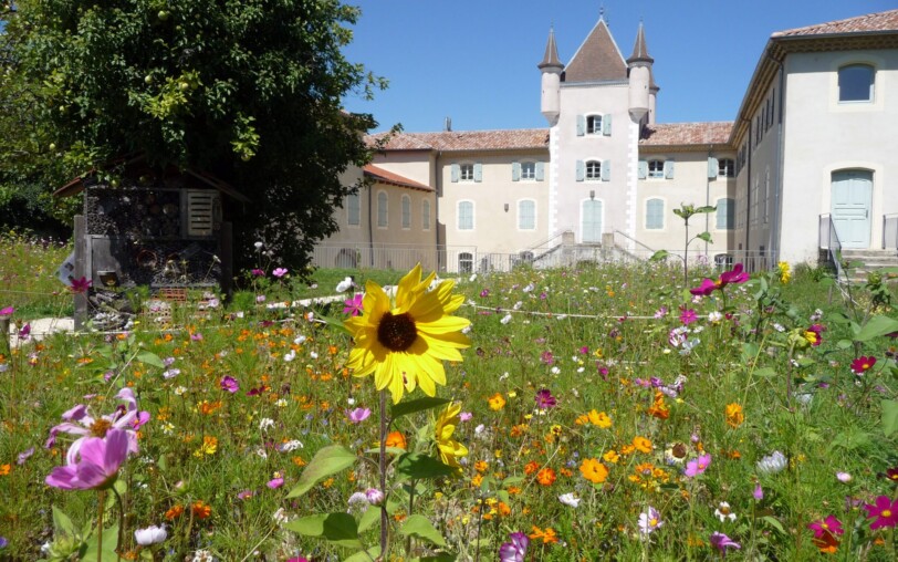 Familienworkshop: Modellieren und Bauen_Jaujac