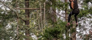 Jaujac - Accrobranche accroche toi aux branches - parcours accrobranche
