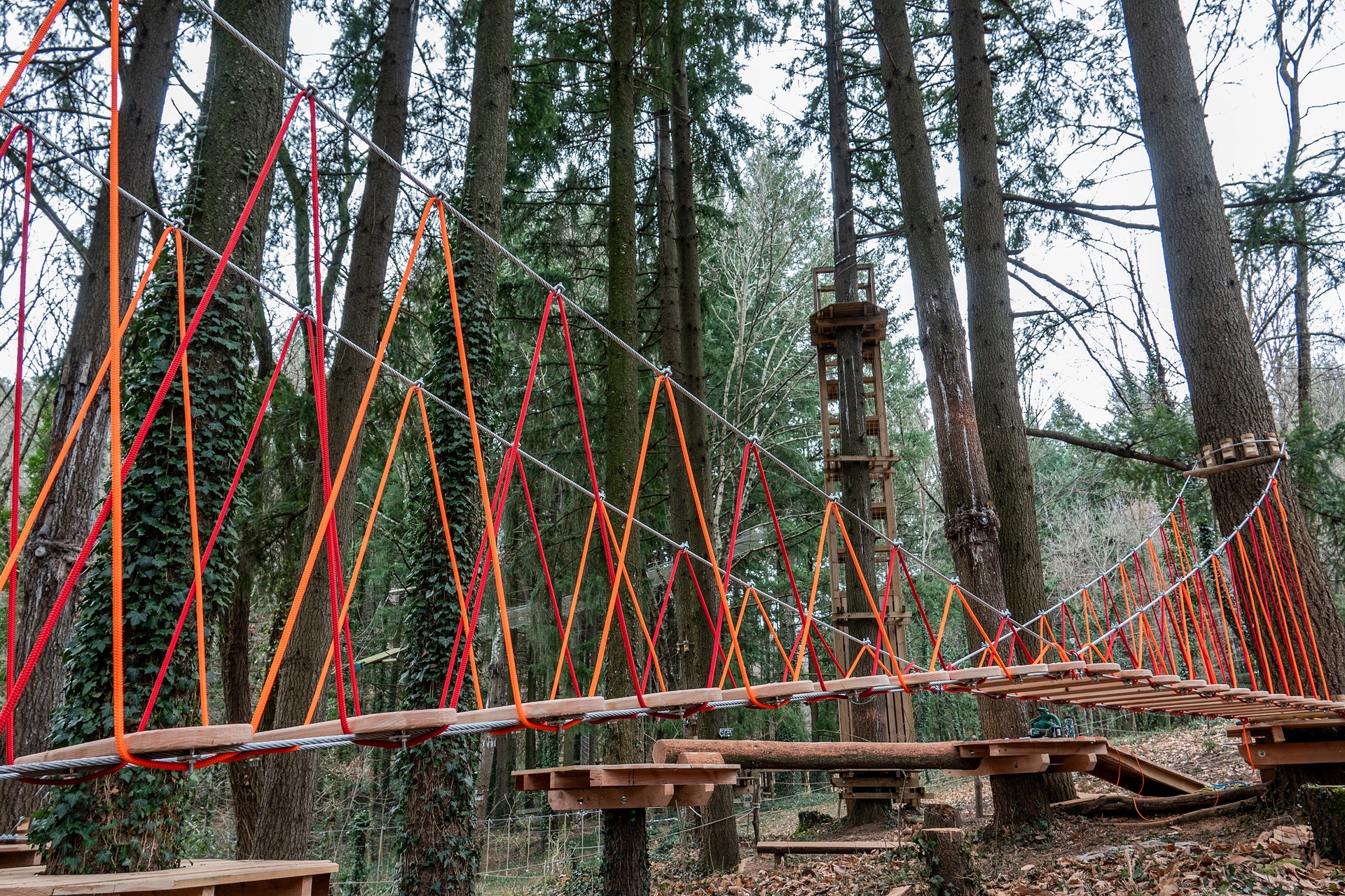 Accroche toi aux branches Jaujac_Jaujac