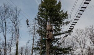 Jaujac - Accrobranche accroche toi aux branches - tyrolienne