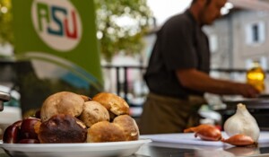 ‘Ardèche is on the spring menu!’ in Sources & Volcans_Meyras