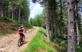 Jaujac - Base vtt parcours 4 col de la croix de millet par le volcan ©M.Barkats - ©M.Barkats