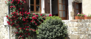 Jaujac - Chez marraine - roses à l'entrée ©J.Voorhoeve