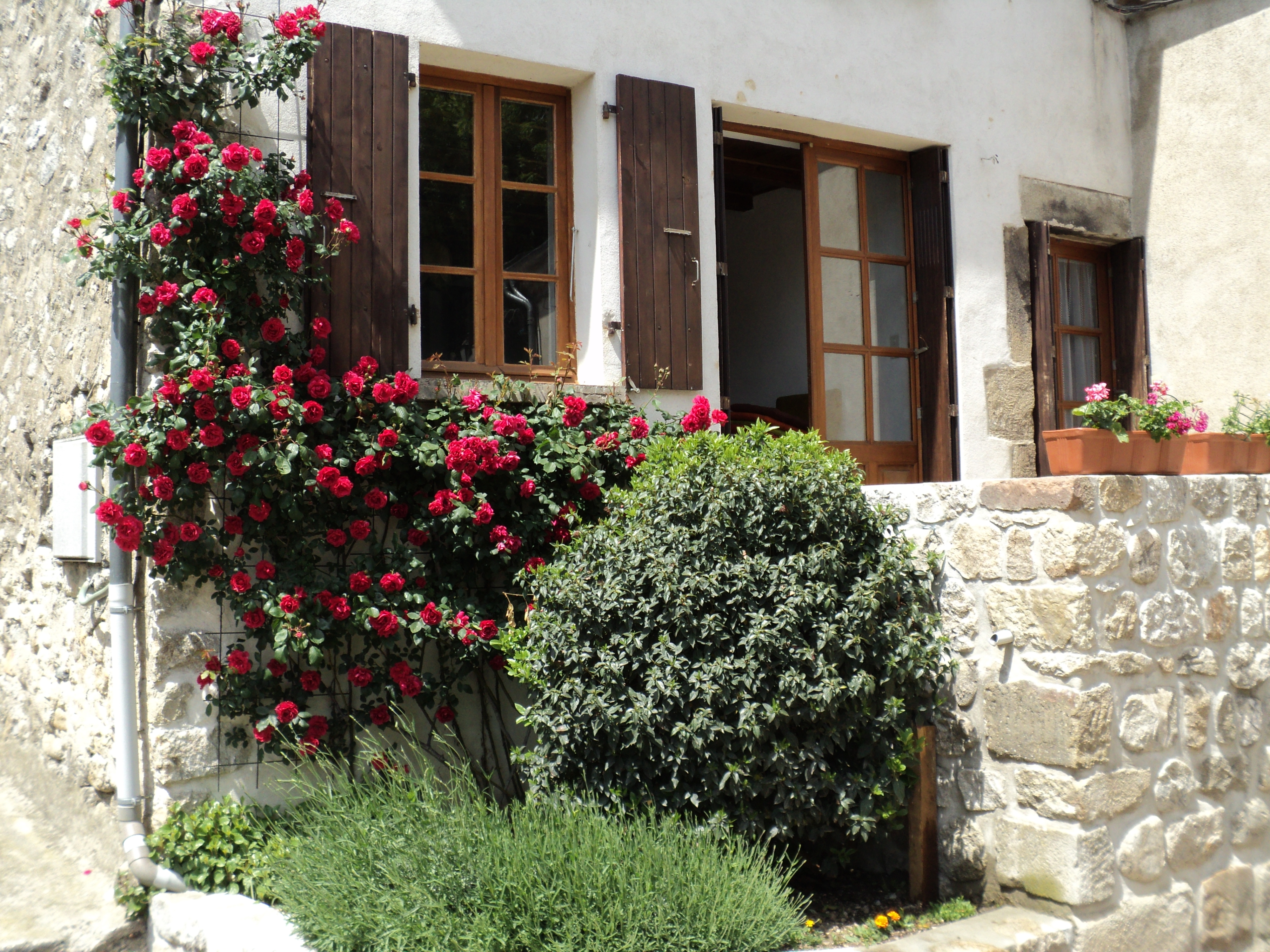 Jaujac - Chez marraine - roses à l'entrée ©J.Voorhoeve