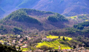 Coupe de Jaujac