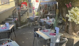 la terrasse ombragée