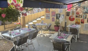 Jolie terrasse ombragée