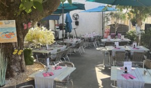 la terrasse