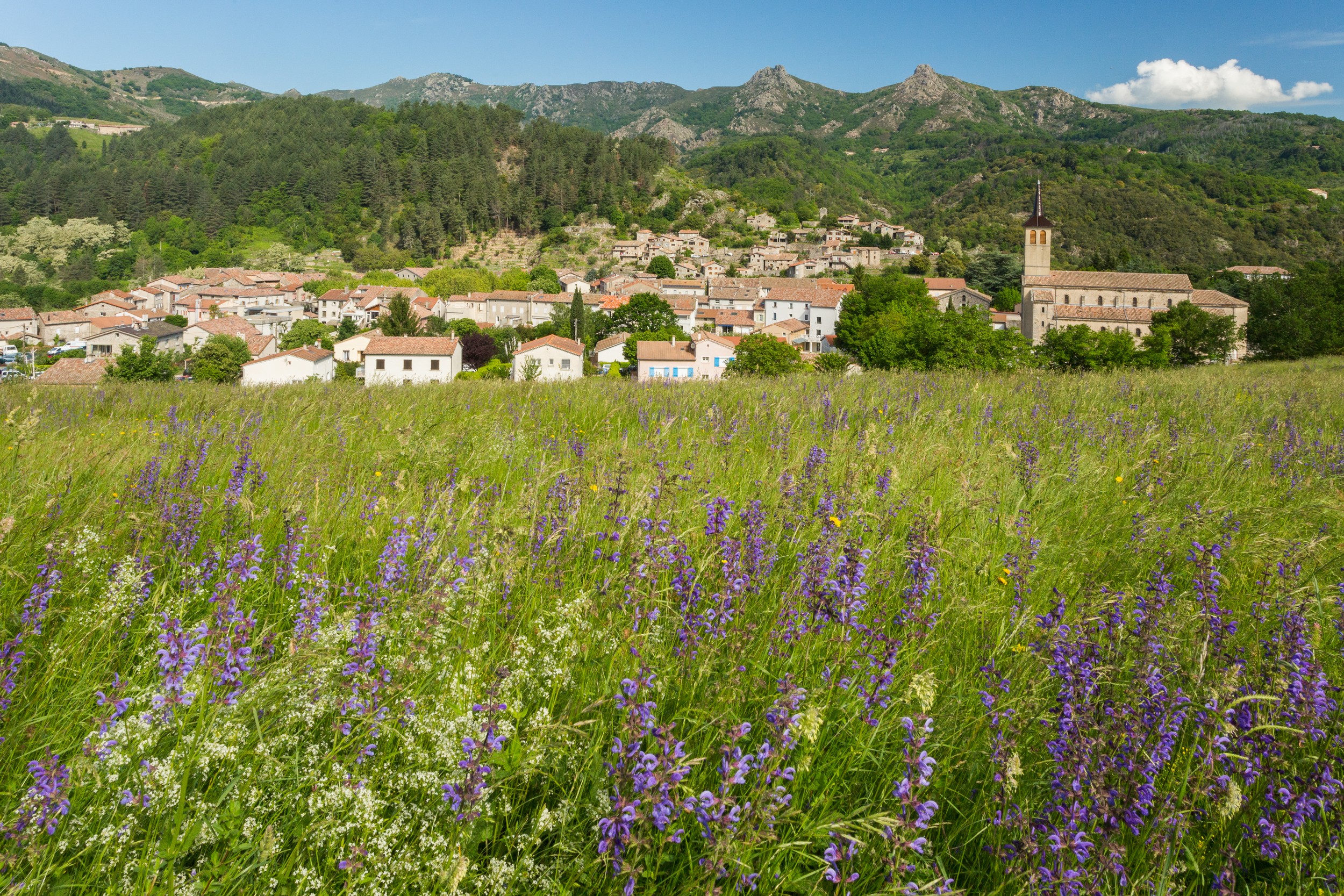 Jaujac : village of character