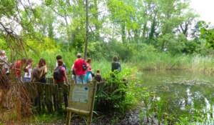 Jaujac - Mare aux libellules et visiteurs PNR ©OTASV