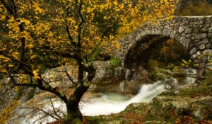 Jaujac - Pont Romain