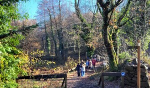 The sparkling trail (accessible to people with reduced mobility)_Jaujac