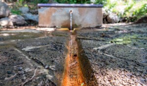 The Peschier water spring_Jaujac