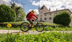 Jaujac - VTT à la Maison du Parc - Château de Rochemure
