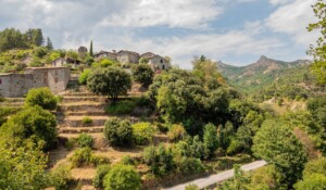 Vue sur le Chastelas depuis le Belvédère Nadine Nogaret née Volle à Jaujac