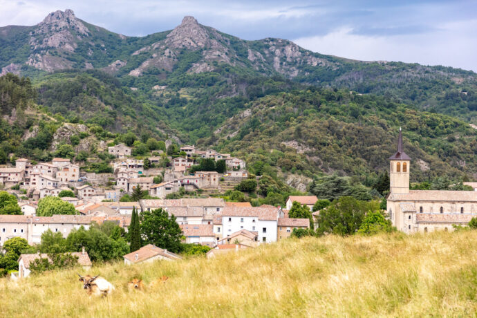 vue depuis le parc des monts d'Ardèche sur le village de Jaujac