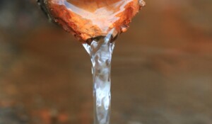 The Peschier water spring_Jaujac