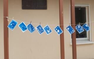 Atelier famille Cyanotypes botaniques_Jaujac - ©pnrma