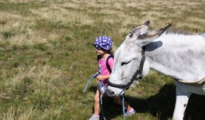 My first experience of hiking with a donkey_Burzet
