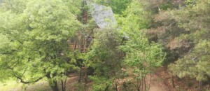 Cabane perchée La Pôlette