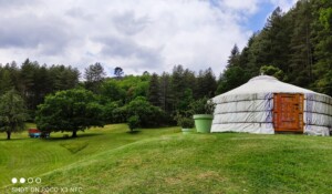 La yourte au printemps, hébergement insolite au Mas du Pestrin à Meyras