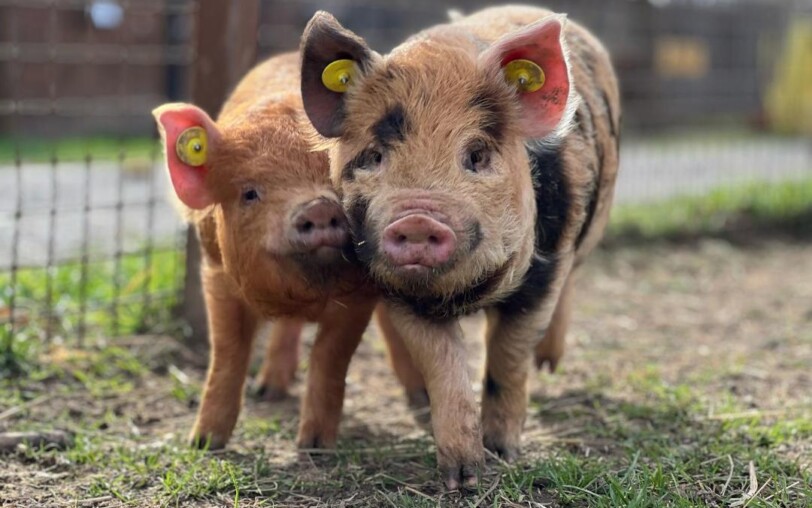 Parc animalier de Lussas