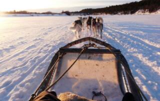 Séjour Massage et chiens de traineaux en chambre d’hôte en Rhône Alpes – Quinte et Sens