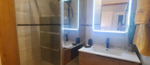 la salle d'eau, wc séparé